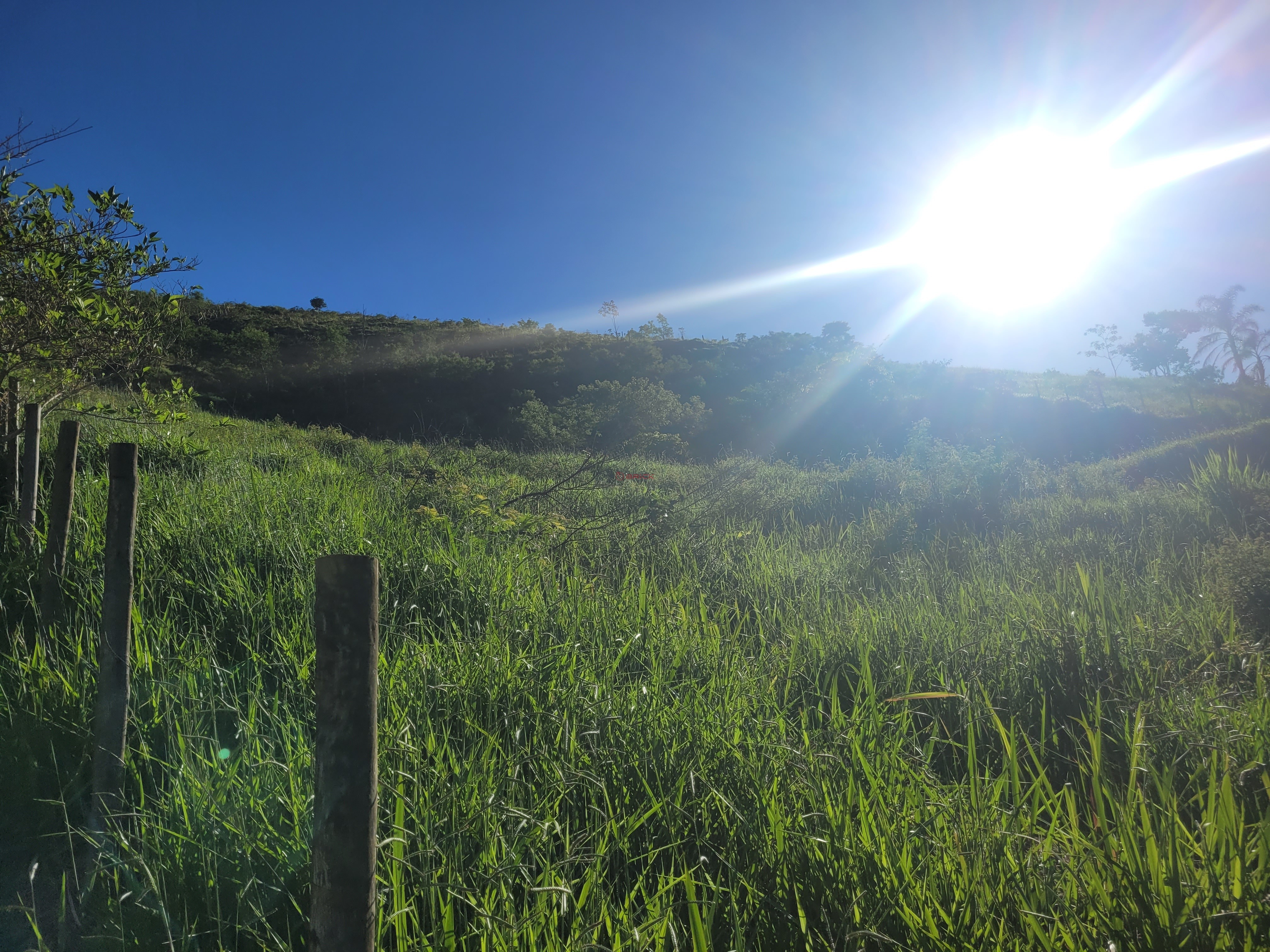 Terreno Residencial à venda em Sebastiana, Teresópolis - RJ - Foto 6