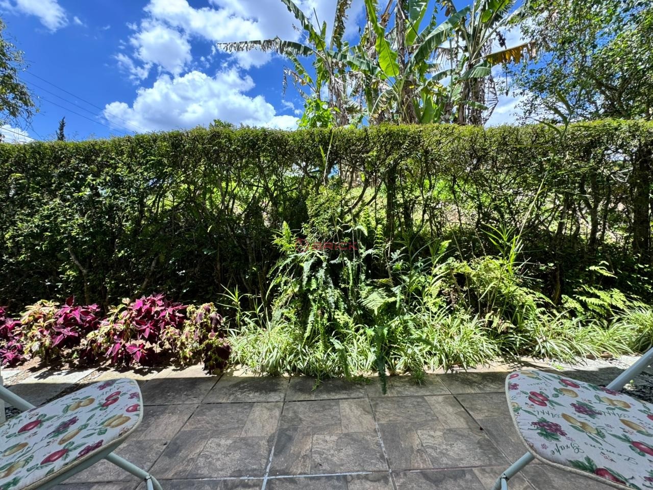 Casa à venda em Vargem Grande, Teresópolis - RJ - Foto 19