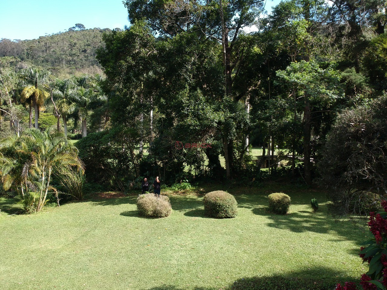 Fazenda / Sítio à venda em Vargem Grande, Teresópolis - RJ - Foto 7