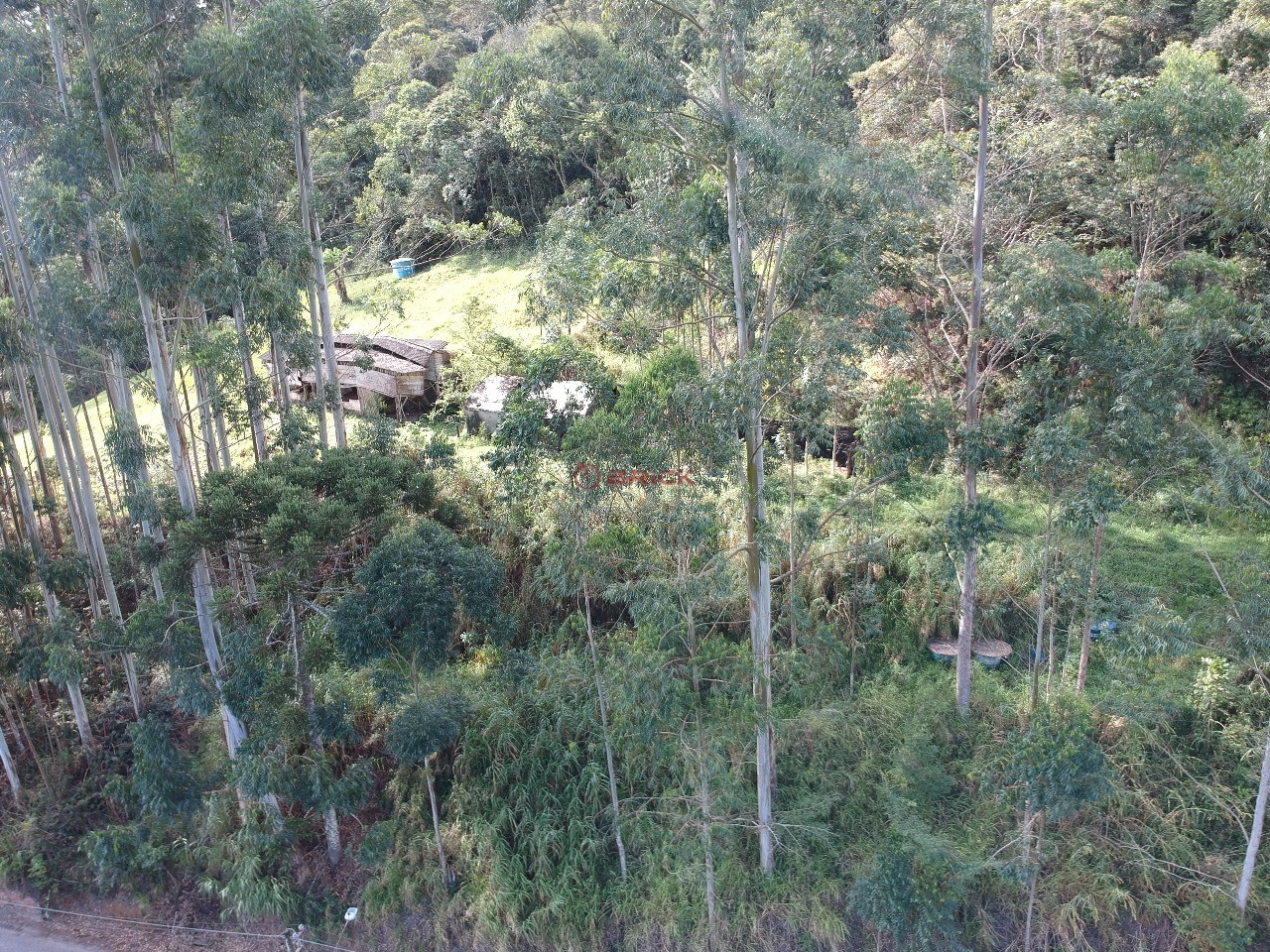 Fazenda / Sítio à venda em Vargem Grande, Teresópolis - RJ - Foto 5