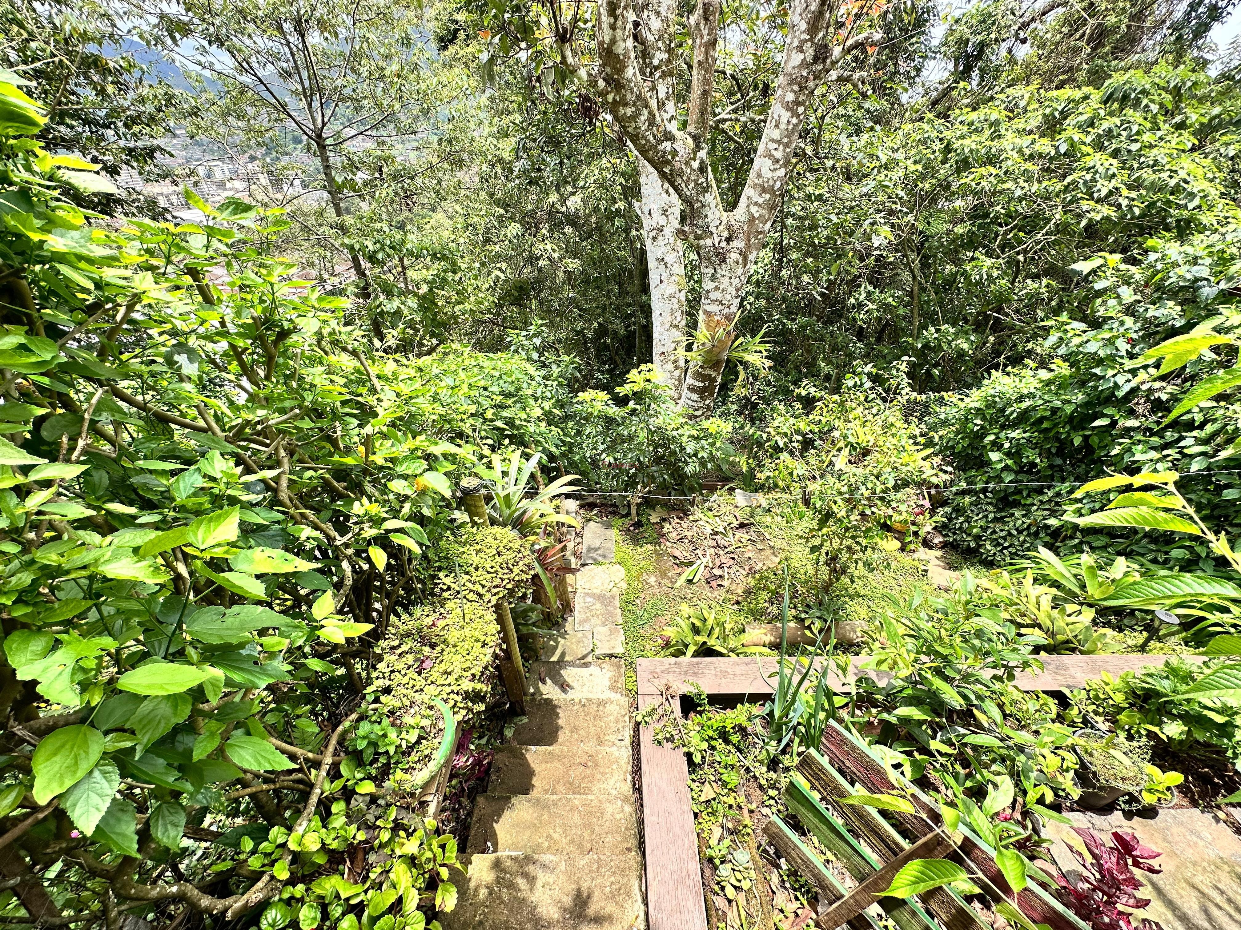 Casa à venda em Parque do Ingá, Teresópolis - RJ - Foto 10