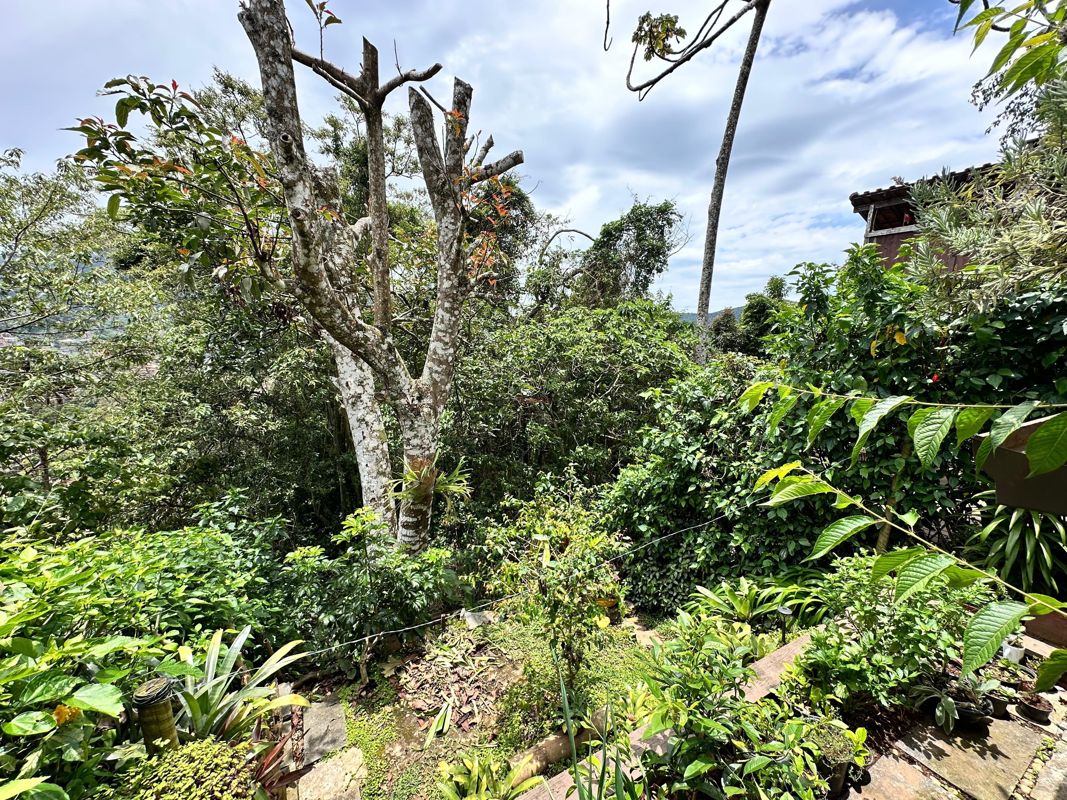 Casa à venda em Parque do Ingá, Teresópolis - RJ - Foto 7