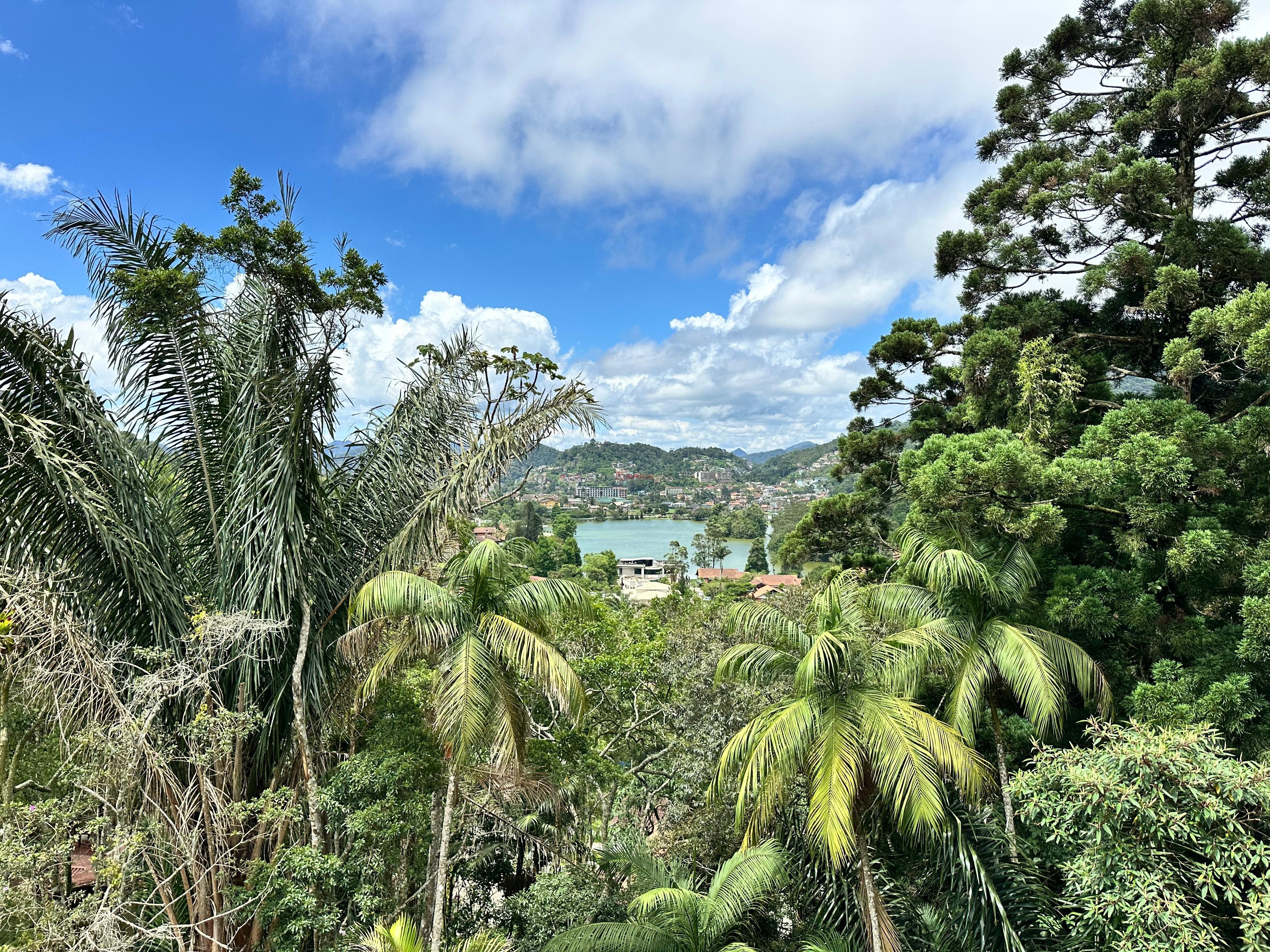 Casa à venda em Carlos Guinle, Teresópolis - RJ - Foto 30