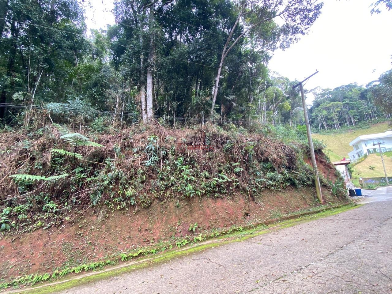 Terreno Residencial à venda em Albuquerque, Teresópolis - RJ - Foto 2