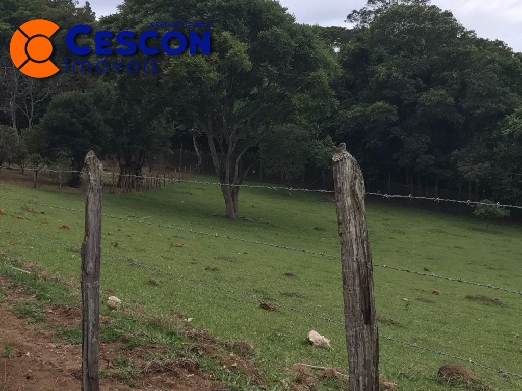 Fazenda à venda com 2 quartos, 34600m² - Foto 3