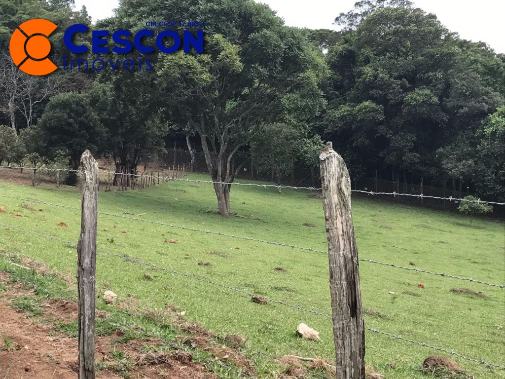 Fazenda à venda com 2 quartos, 34600m² - Foto 6