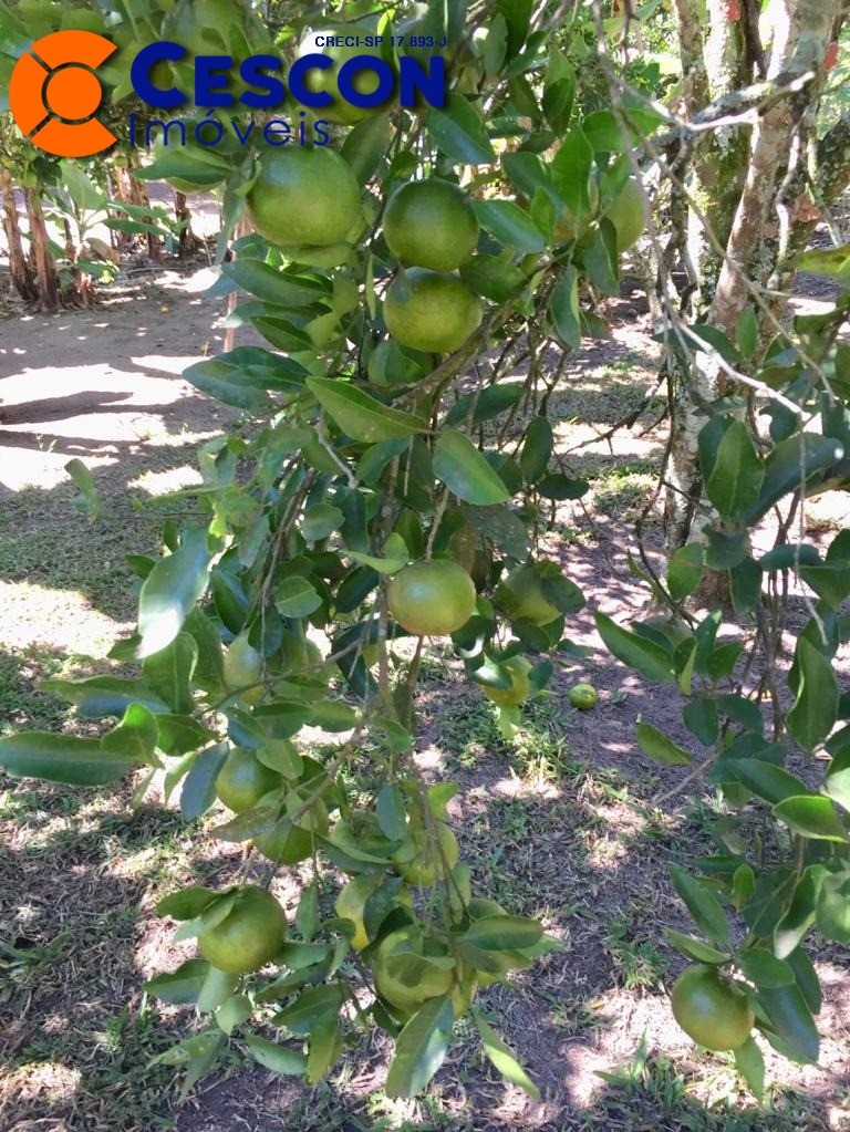 Fazenda à venda com 2 quartos, 34600m² - Foto 24