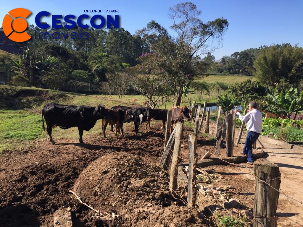 Fazenda à venda com 2 quartos, 34600m² - Foto 11