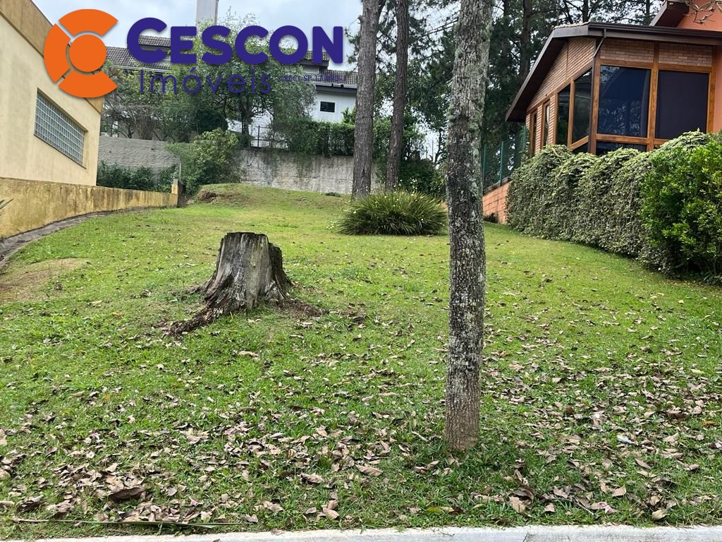 Terreno à venda, 360m² - Foto 3