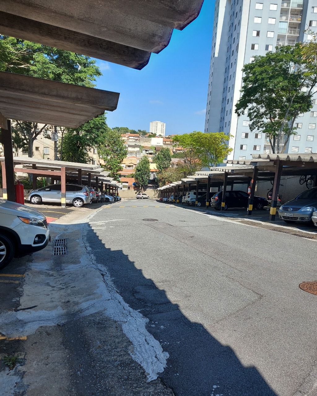 Foto Destaque