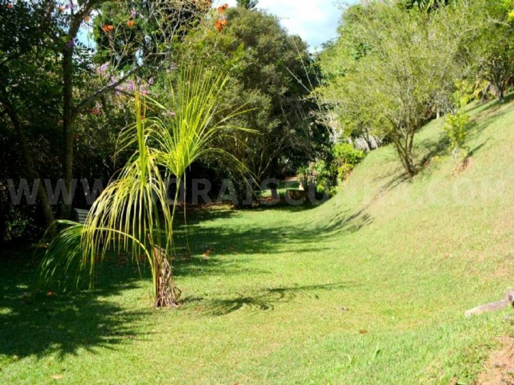 Casa à venda com 4 quartos, 2400m² - Foto 9