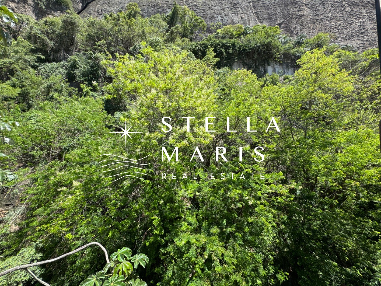 Cobertura, 4 quartos, 203 m² - Foto 2