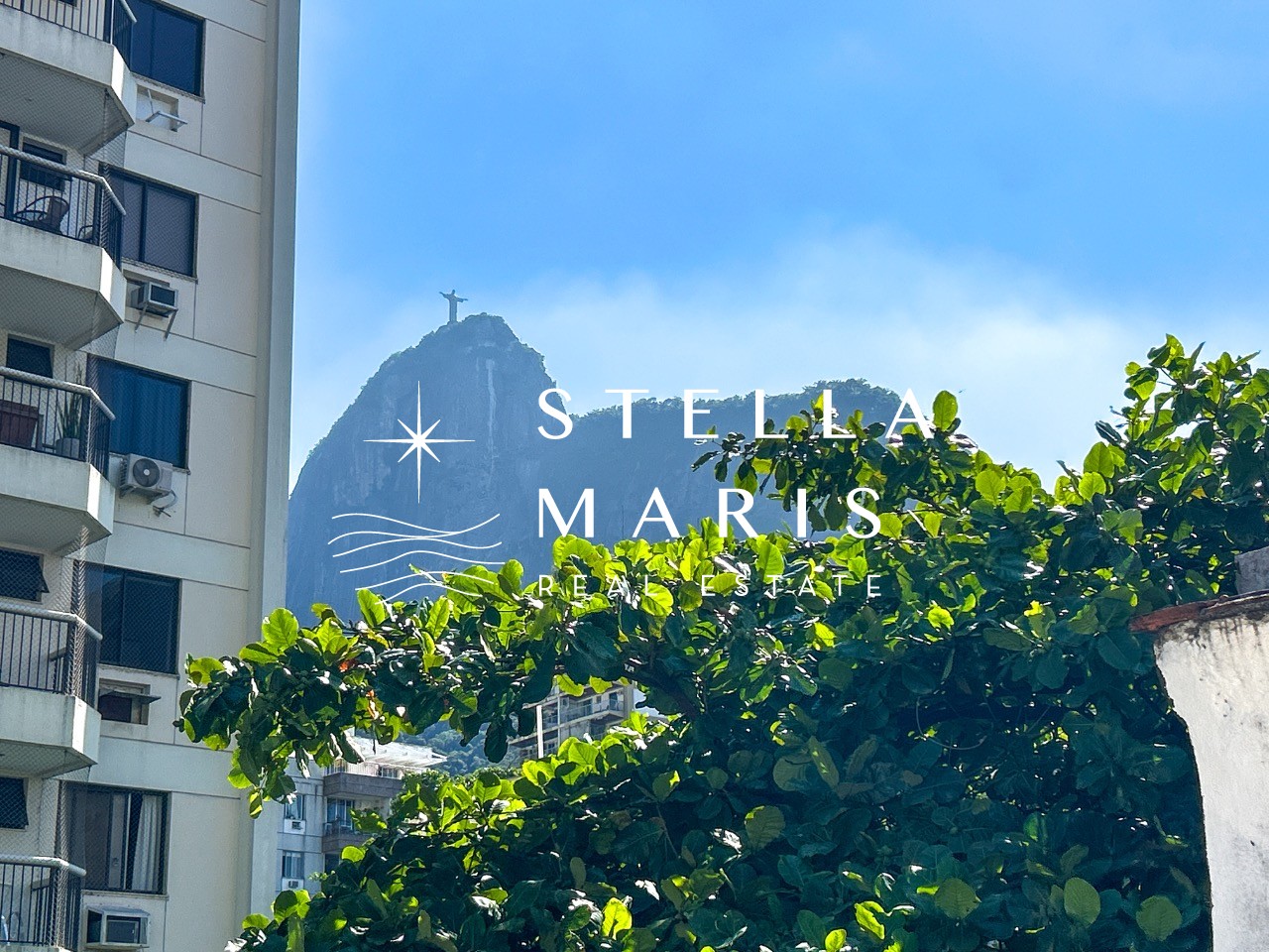 Prédio Inteiro, 310 m² - Foto 2