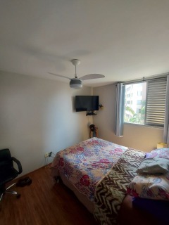 Apartamento à venda com 2 quartos, 53m² - Foto 13