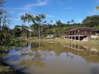 Fazenda à venda com 4 quartos, 300m² - Foto 7