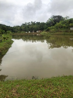 Fazenda à venda com 4 quartos, 300m² - Foto 19