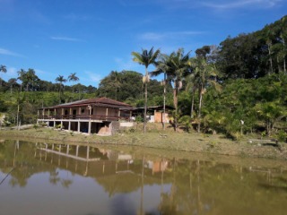 Fazenda à venda com 4 quartos, 300m² - Foto 8