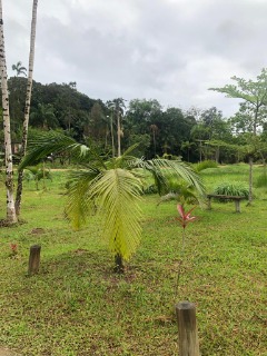 Fazenda à venda com 4 quartos, 300m² - Foto 26