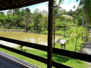 Fazenda à venda com 4 quartos, 300m² - Foto 17