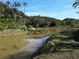 Fazenda à venda com 4 quartos, 300m² - Foto 12