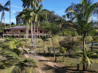 Fazenda à venda com 4 quartos, 300m² - Foto 14