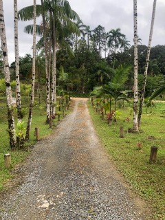 Fazenda à venda com 4 quartos, 300m² - Foto 25