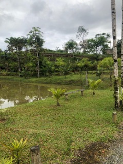 Fazenda à venda com 4 quartos, 300m² - Foto 24