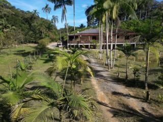 Fazenda à venda com 4 quartos, 300m² - Foto 6