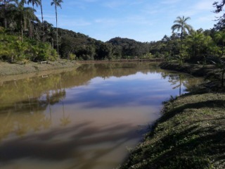 Fazenda à venda com 4 quartos, 300m² - Foto 13