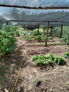 Fazenda à venda com 7 quartos, 300m² - Foto 22