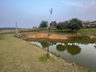 Fazenda à venda com 7 quartos, 300m² - Foto 40