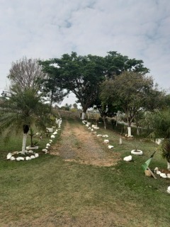 Fazenda à venda com 7 quartos, 300m² - Foto 67