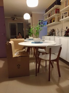 Apartamento à venda com 2 quartos, 53m² - Foto 5