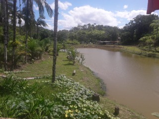 Fazenda à venda com 4 quartos, 300m² - Foto 56