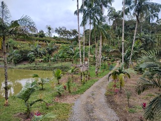 Fazenda à venda com 4 quartos, 300m² - Foto 53