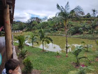 Fazenda à venda com 4 quartos, 300m² - Foto 54