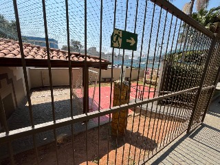 Apartamento à venda com 3 quartos, 62m² - Foto 27