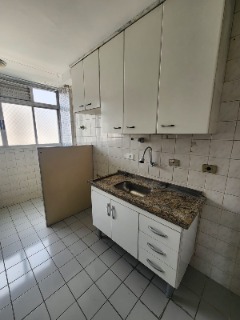 Apartamento para alugar com 2 quartos, 54m² - Foto 10