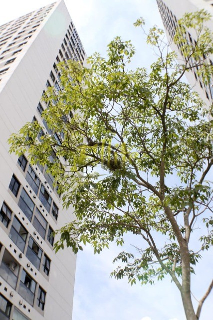 Apartamento, 2 quartos, 70 m² - Foto 25