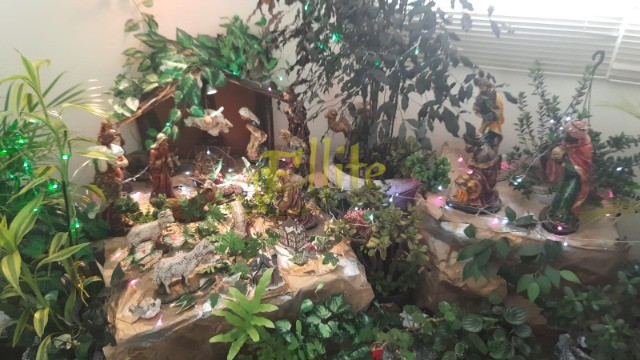 Apartamento, 1 quarto, 35 m² - Foto 17