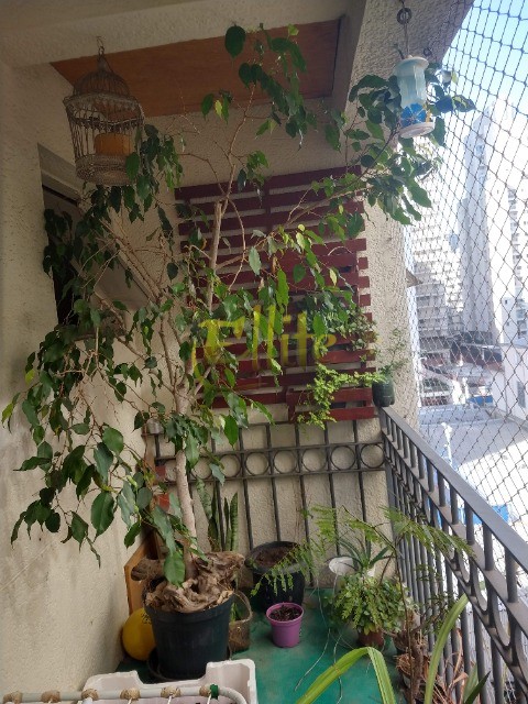 Apartamento, 2 quartos, 80 m² - Foto 32