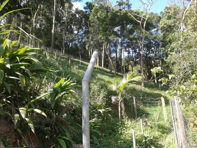 Fazenda à venda com 4 quartos, 13600m² - Foto 23