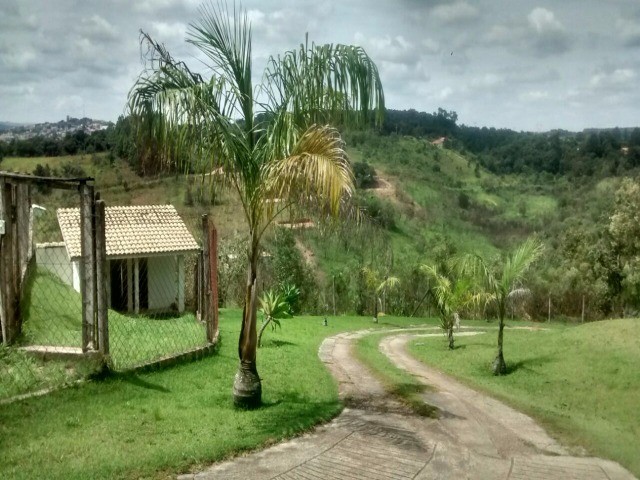 Fazenda à venda com 4 quartos, 5700m² - Foto 19