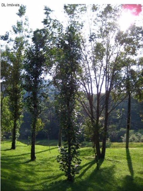 Fazenda à venda com 4 quartos, 10000m² - Foto 14