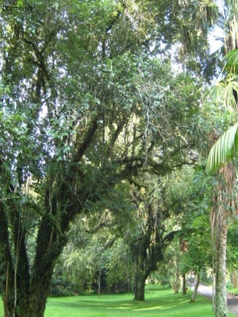 Fazenda à venda com 4 quartos, 10000m² - Foto 20