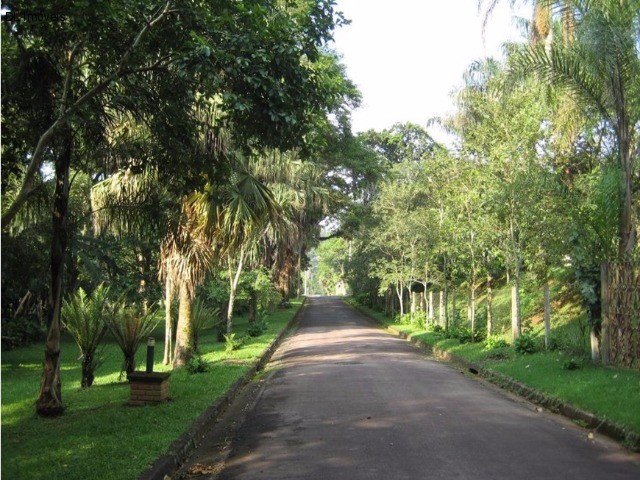 Fazenda à venda com 4 quartos, 10000m² - Foto 22