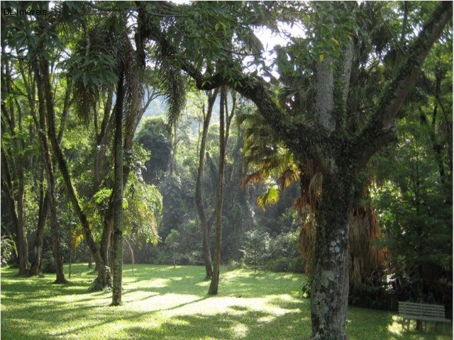 Fazenda à venda com 4 quartos, 10000m² - Foto 23