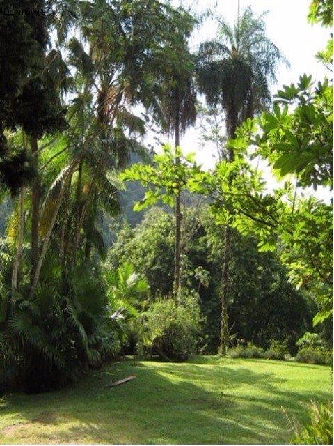 Fazenda à venda com 4 quartos, 10000m² - Foto 34