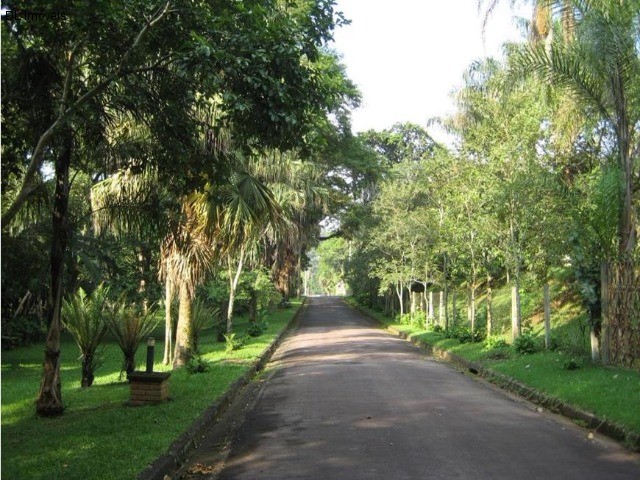 Fazenda à venda com 4 quartos, 10000m² - Foto 47