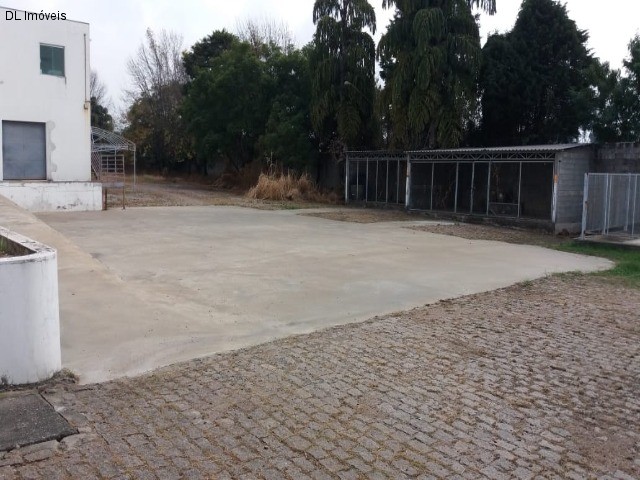 Depósito-Galpão-Armazém para alugar, 6300m² - Foto 24